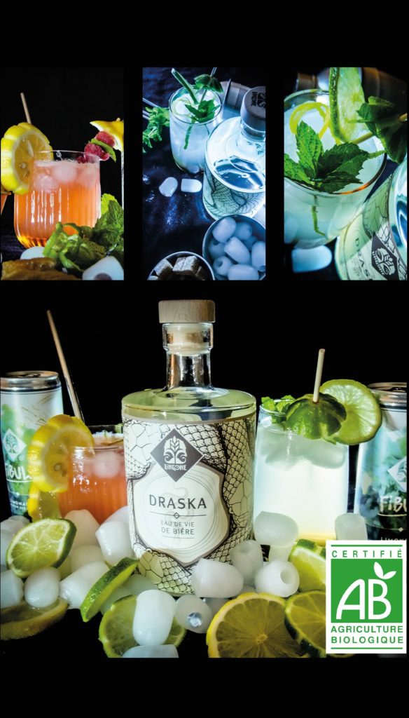 Cocktails Lingone DRAKSA